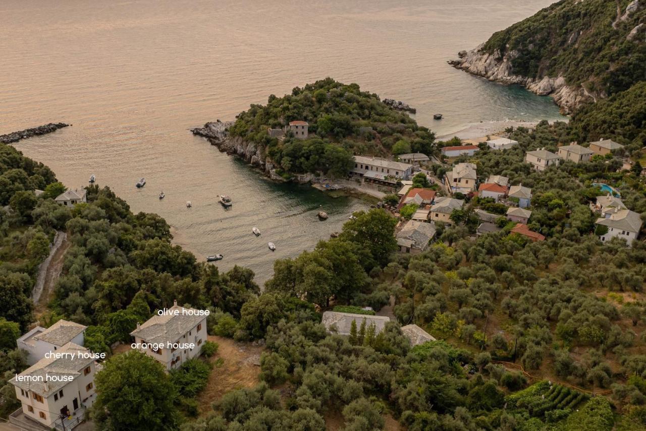 Olive House In Damouchari With A Sea View - Delicious Houses Zewnętrze zdjęcie